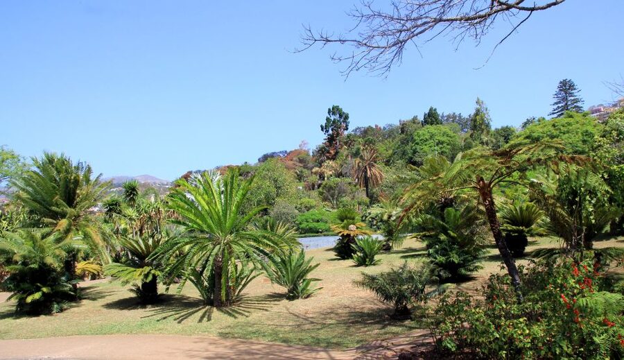Madeira: Botanical Garden in a Tuk-Tuk Tour - Key things to know before you go