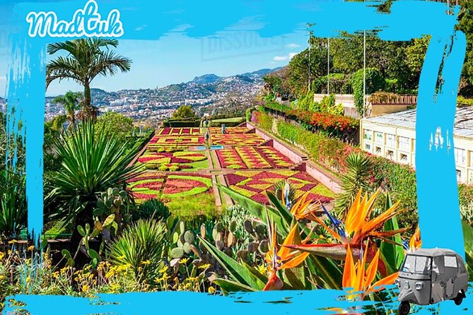 Madeira Botanical Gardens and Old Town Tuk Tuk Tour by MadTuk - Key highlights you will actually feel on the ground