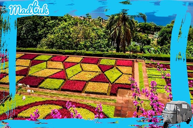 Madeira Botanical Gardens and Old Town Tuk Tuk Tour by MadTuk - Madeira Botanical Garden: views first, then your garden time