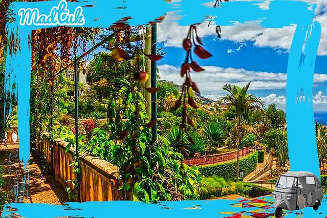 Madeira Botanical Gardens and Old Town Tuk Tuk Tour by MadTuk - The Old Town pass-through: getting your bearings fast