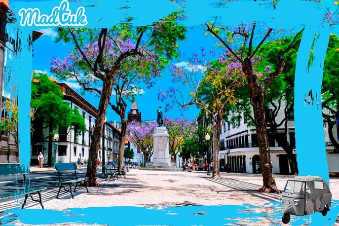Madeira Botanical Gardens and Old Town Tuk Tuk Tour by MadTuk - Guides, driving, and that private-group feel