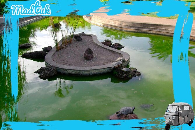 Madeira Botanical Gardens and Old Town Tuk Tuk Tour by MadTuk - Weather matters in Madeira, so plan for flexibility