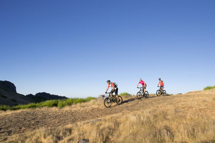Madeira Botanical Levels Bike Tour – Scenic Trail Experience - Key Things That Make This Tour Worth Your Time