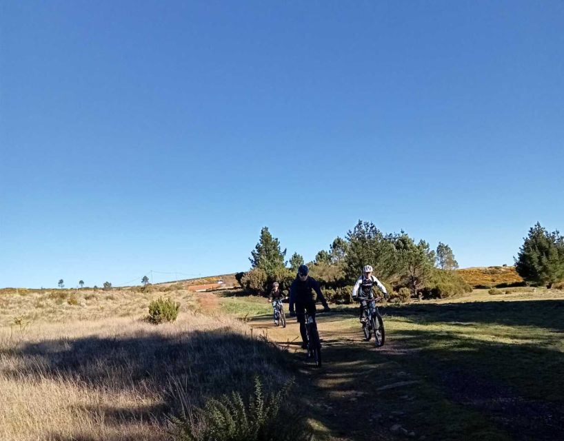 Madeira Botanical Levels Bike Tour – Scenic Trail Experience - Picking Berries and Traveling by Water Channel: Small Details That Change the Feel
