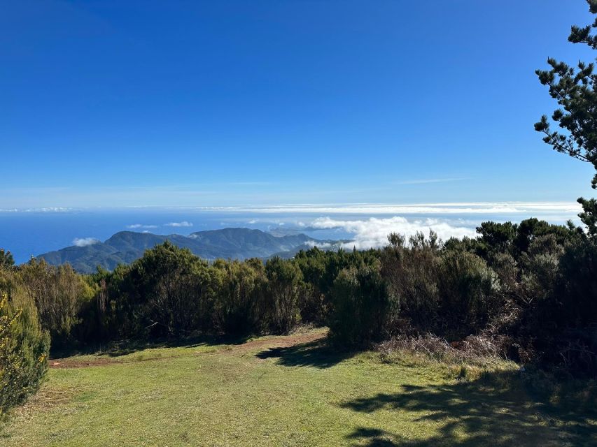 Madeira Botanical Levels Bike Tour – Scenic Trail Experience - Price and Value: Is $94 Worth It?