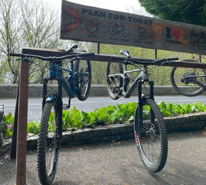 Madeira Botanical Levels Bike Tour – Scenic Trail Experience - Who Should Book This Bike Tour, and Who Might Want a Different Option