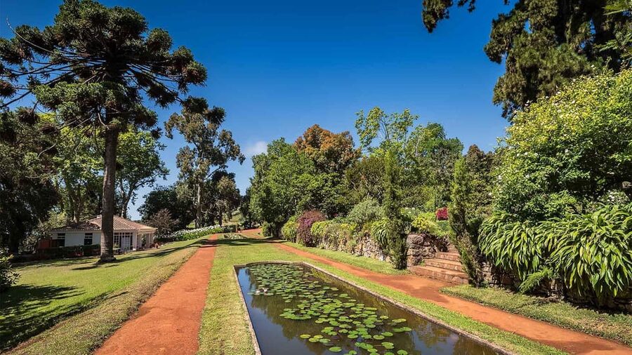 Madeira: Botanical, Monte Palace, and Palheiro Gardens - Palheiro Gardens at the Blandy Estate: Winemaking Roots and Calmer Walks