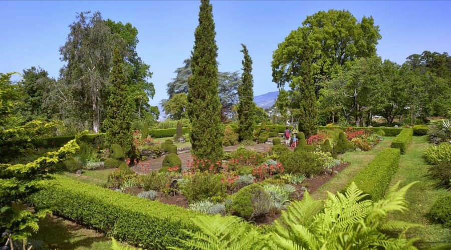 Madeira: Botanical, Monte Palace, and Palheiro Gardens - Tuk-Tuk Transport, Uneven Paths, and What to Wear