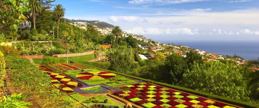 Madeira: Botanical, Monte Palace, and Palheiro Gardens - Timing and Value: Can You See Three Gardens in 4 Hours?