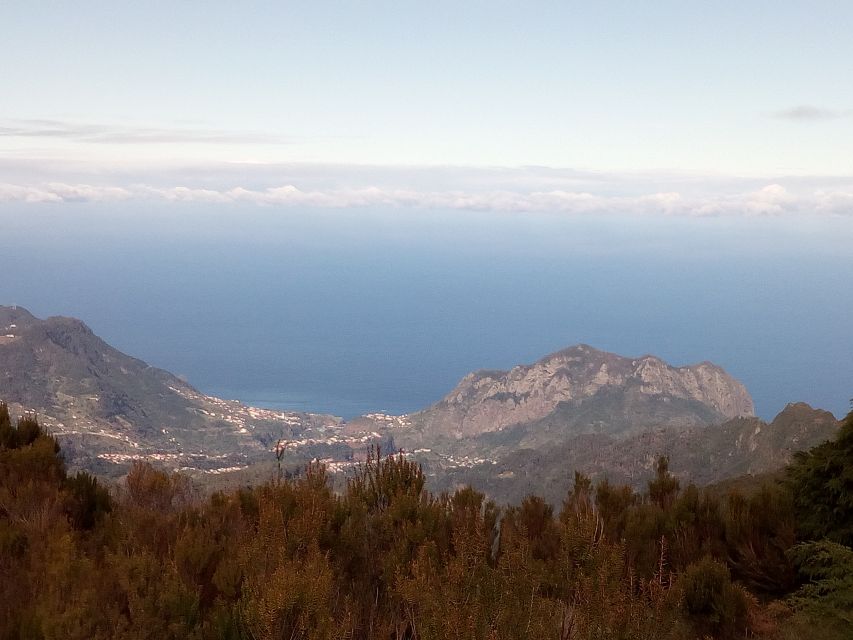 Madeira by Sidecar: 5-Hours Old Roads to Calheta Tour - Why a sidecar tour works so well on Madeira’s west roads