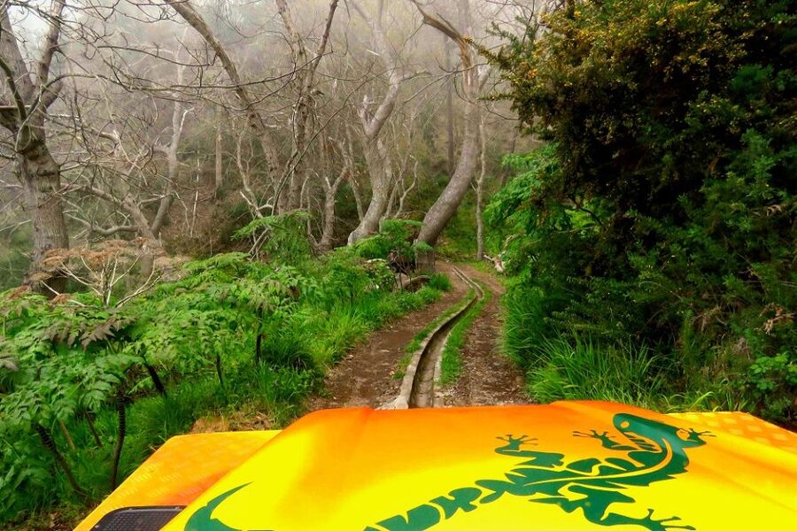 Madeira : Cabo Girao and Camara de Lobo 4WD half-day Tour - Câmara de Lobos: the Churchill connection and the feel of the town