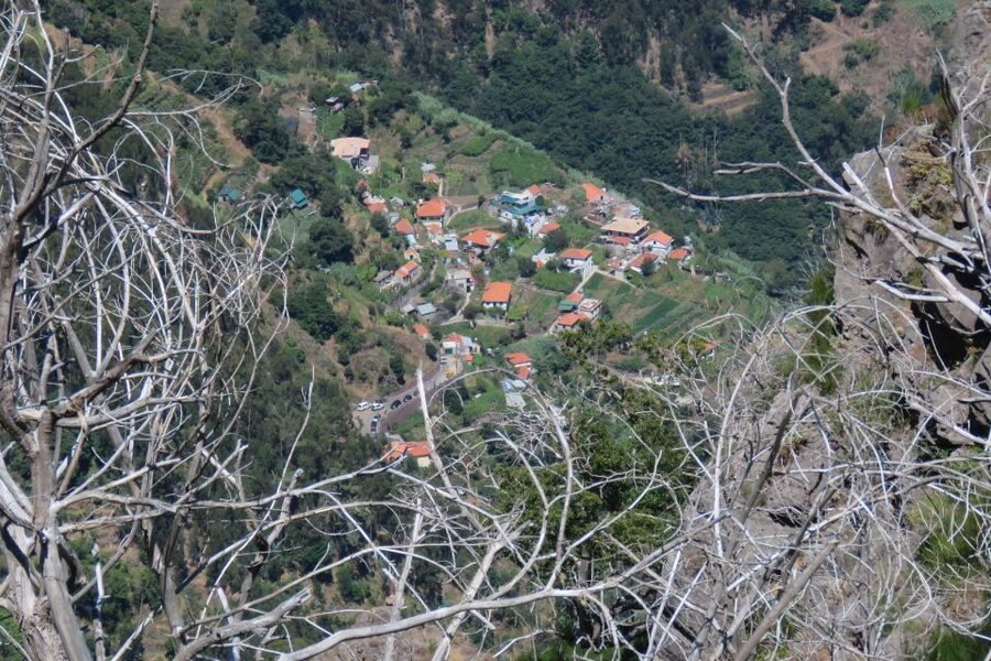 Madeira : Cabo Girao and Camara de Lobo 4WD half-day Tour - The ride itself: open-top views, winding roads, and who this fits