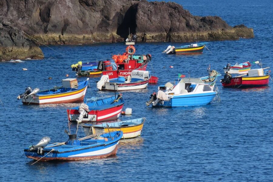 Madeira : Cabo Girao and Camara de Lobo 4WD half-day Tour - Price and value: is $58 for 4 hours a fair deal?
