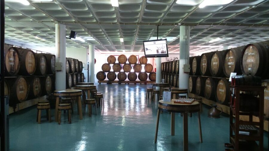 Madeira: Cabo Girao, Jeep Tour Adventure and Wine Tasting - The free Madeira wine tasting: where the price makes sense