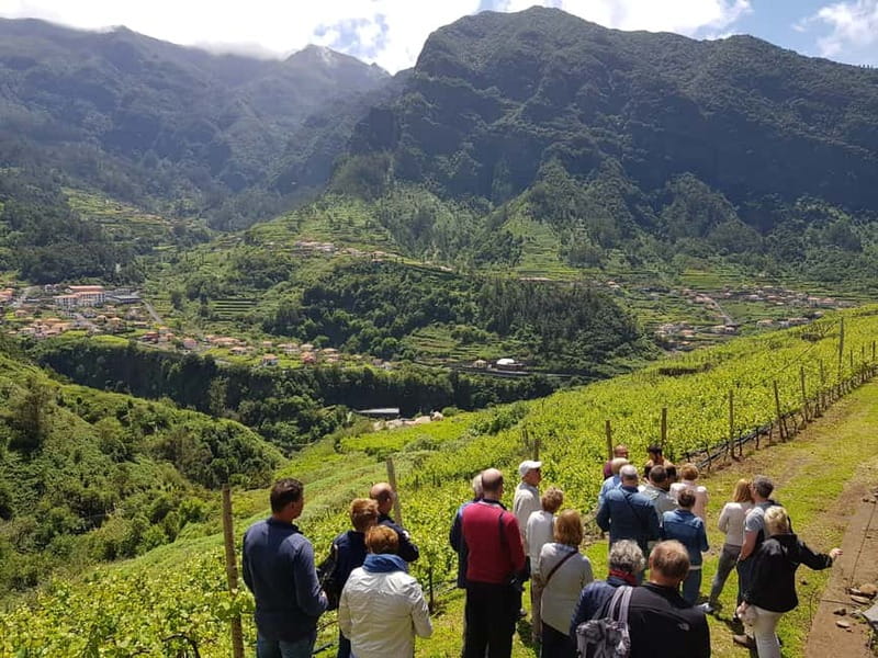 Madeira: Cabo Girão, Wines Experience and Dolphins Watching - Dolphin watching from the catamaran: long enough for a story, short enough to stay hopeful