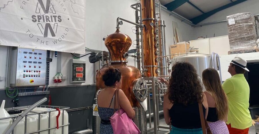 Madeira: Distilleries - Modern distillery stop: how rum is made, plus gin flavor along the way