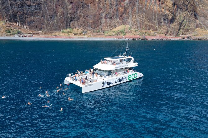 Madeira Dolphin and Whale Watching on a Ecological Catamaran - Key highlights you should notice before you go