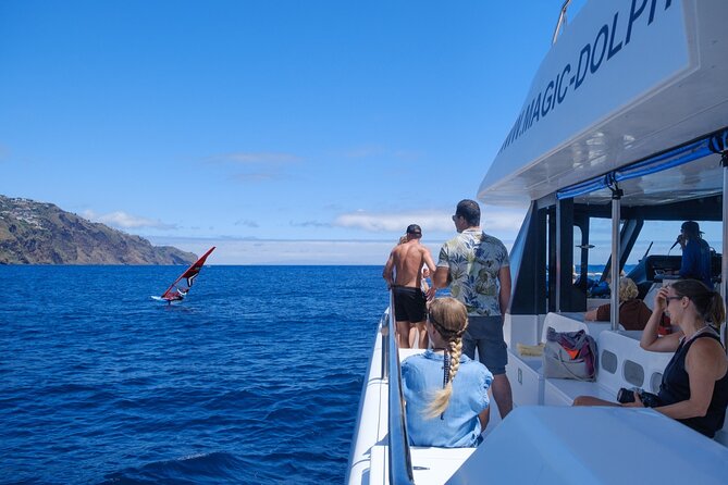 Madeira Dolphin and Whale Watching on a Ecological Catamaran - Cabo Girão, Câmara de Lobos, and Reid’s Hotel from the sea