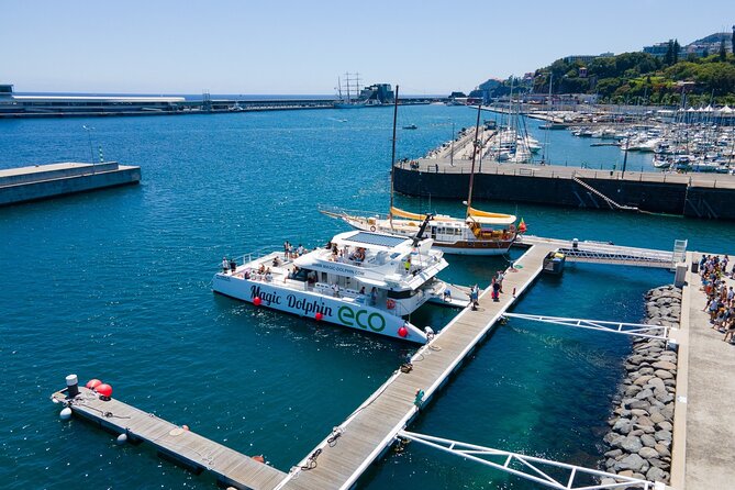 Madeira Dolphin and Whale Watching on a Ecological Catamaran - The guide experience: what you learn, and how it lands on board