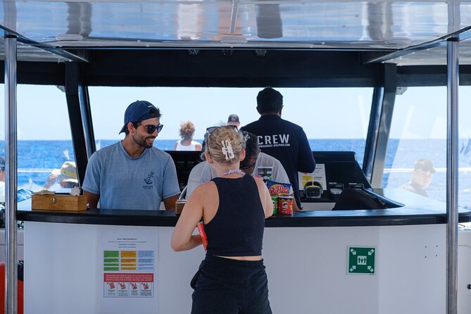 Madeira Dolphin and Whale Watching on a Ecological Catamaran - What you actually do during the 2.5 to 3 hour catamaran cruise
