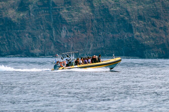 Madeira Dolphin & Whale Watching Tour - The Timing Reality: How Long It Takes on the Day
