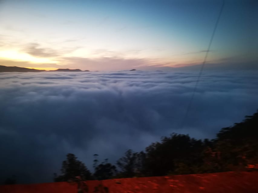Madeira E-Buggy Adventure: 4x4 thrill & epic views! Book now - Key Highlights You Should Care About