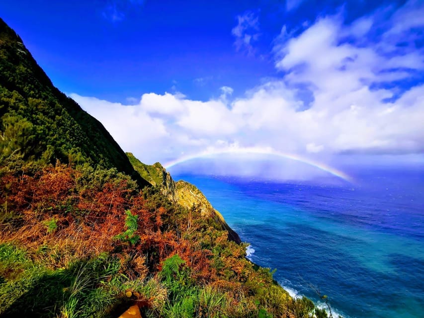 Madeira E-Buggy Adventure: 4x4 thrill & epic views! Book now - The Laurissilva Forest Drive: Quiet Power Through Rare Terrain