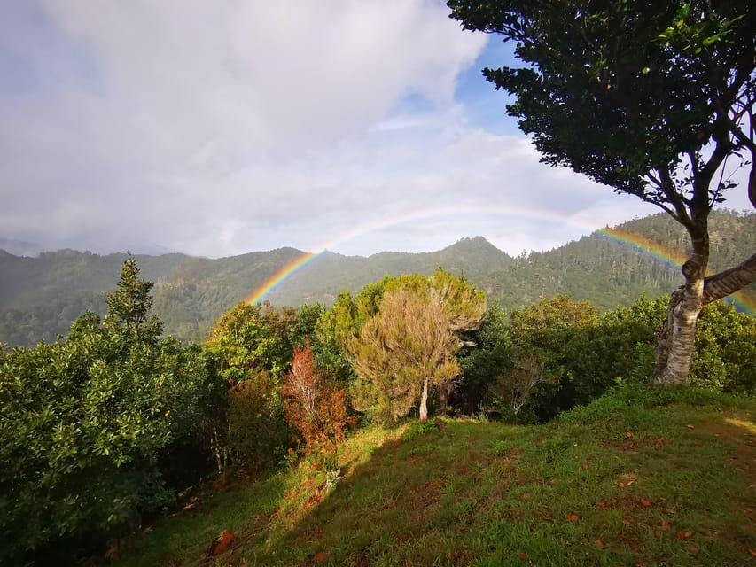 Madeira E-Buggy Adventure: 4x4 thrill & epic views! Book now - Driving Time, Pace, and How the Guide Support Works