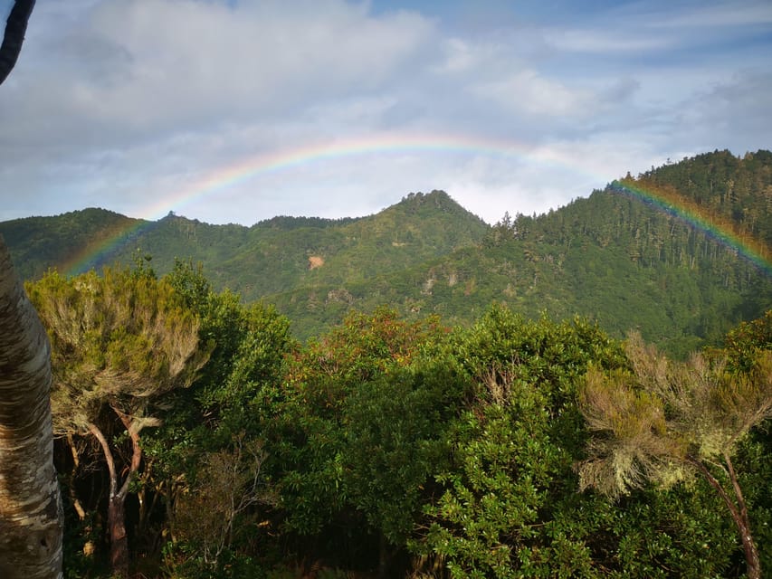Madeira E-Buggy Adventure: 4x4 thrill & epic views! Book now - Value for Money: Why $199 Per Group Up to 2 Can Make Sense