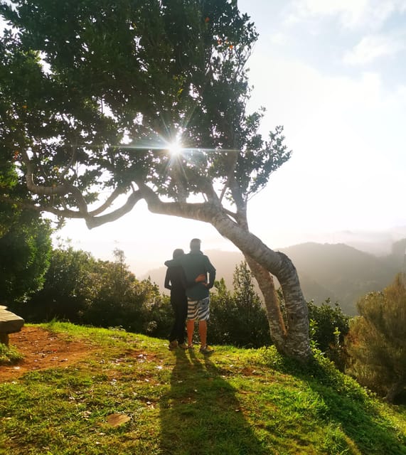 Madeira E-Buggy Adventure: 4x4 thrill & epic views! Book now - Meeting at Caminho da Referta, Then Into the Real Trail