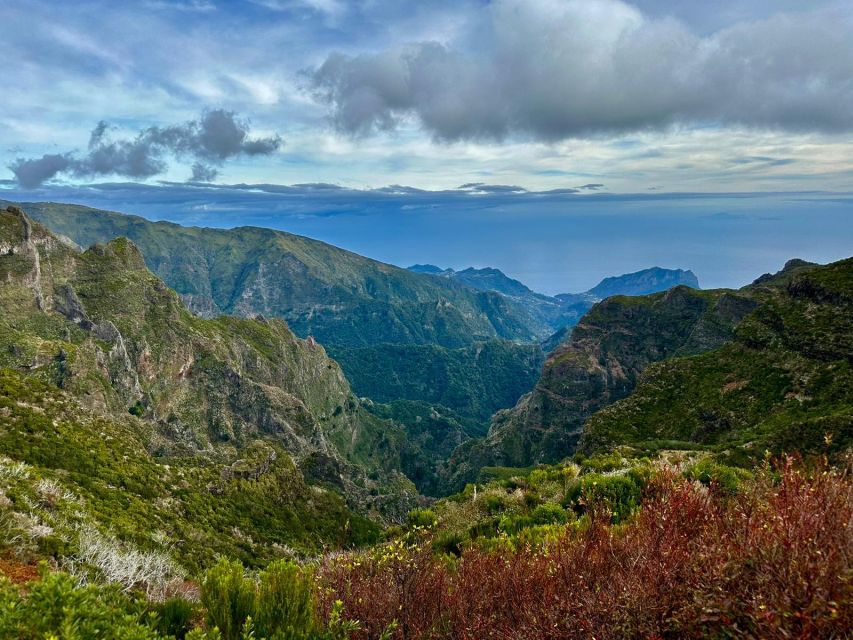 Madeira : East Tour - Santana North Side - Ribeiro Frio Forest Park and trout nurseries in Laurissilva