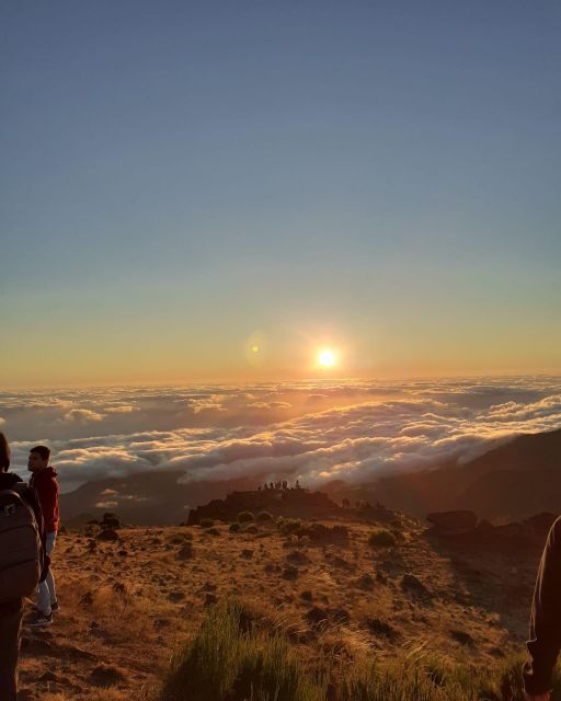 Madeira East Wonders 4X4 Tour Safari - Ribeiro Frio walk: countryside pace and an optional poncha moment