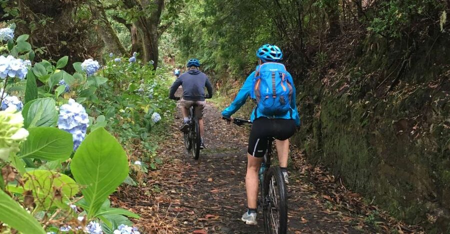 Madeira Easy Levada Biking Tour – Scenic & Relaxed - The off-road reality check, and who should ride this