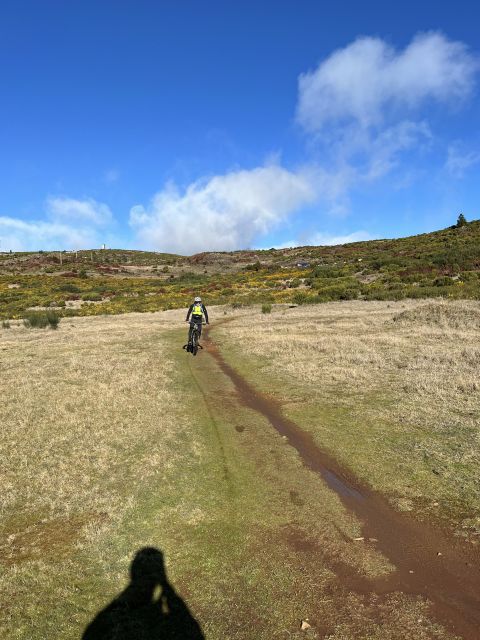 Madeira Easy Levada Biking Tour – Scenic & Relaxed - Laurel forest and giant ferns, a cooler Madeira mood