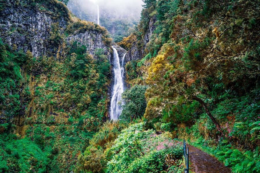 Madeira: Enjoy a Guided Levada Walk in the Rabaçal Valley - Getting from Funchal to Paul da Serra: the day starts with a downhill theme