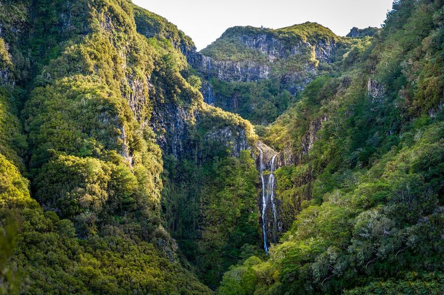 Madeira: Enjoy a Guided Levada Walk in the Rabaçal Valley - Terrain, pace, and group size: plan for steps and narrow sections