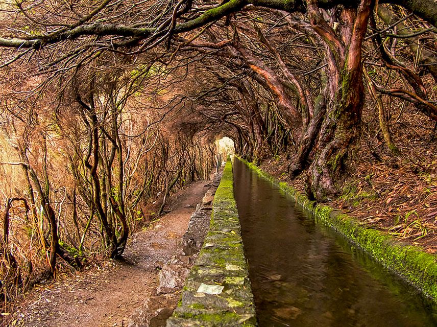 Madeira: Enjoy a Guided Levada Walk in the Rabaçal Valley - Packing tips that make the hike easier, not harder