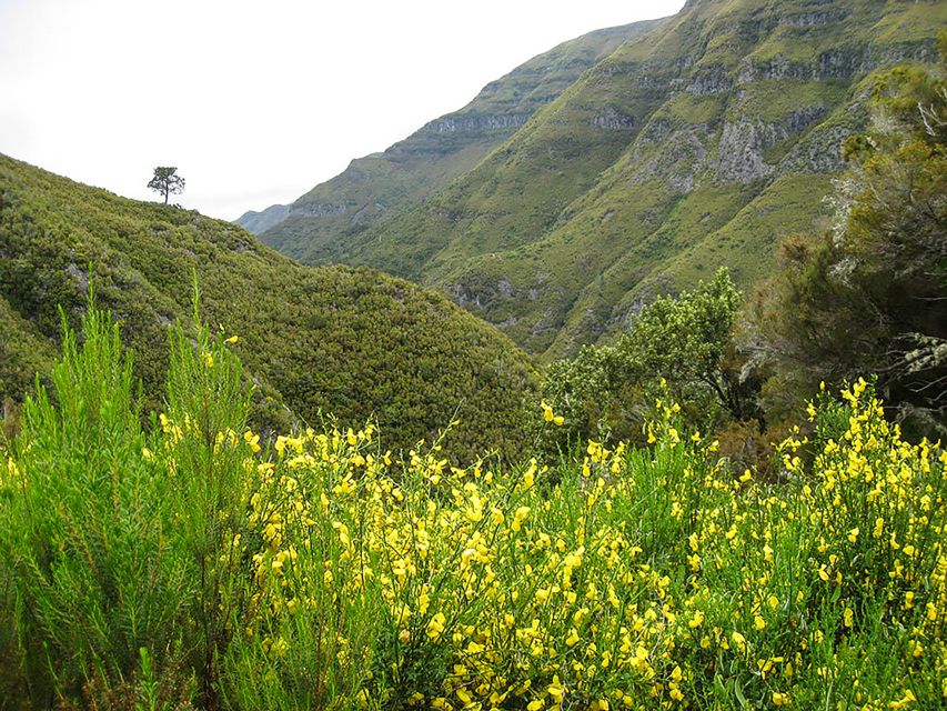 Madeira: Enjoy a Guided Levada Walk in the Rabaçal Valley - From Paul da Serra to the Levada do Risco: waterfalls and foothold reality