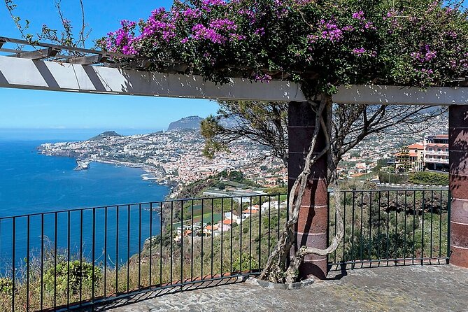 Madeira Essence Half Day Tour for Cruises - Stop 1: Camara de Lobos, The Fishing-Town Reality Check