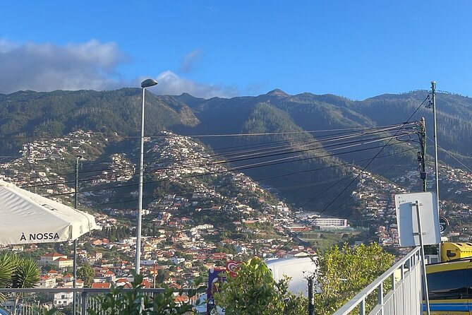 Madeira Essence Half Day Tour for Cruises - Stop 3: Miradouro Pico dos Barcelos, South Coast From Over 330 Meters
