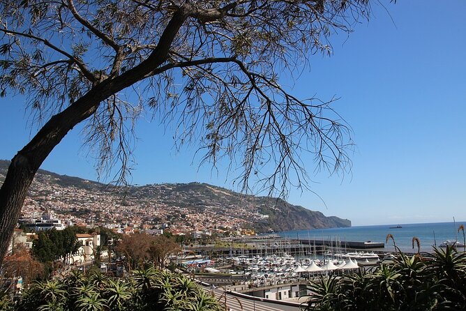 Madeira Essence Half Day Tour for Cruises - What’s Included, and Why That Impacts Value