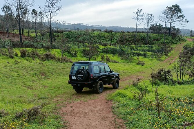 Madeira: Experiência 4WD Skywalk para Seixal Porto Moniz, Fanal - Key things that make this Madeira 4WD Skywalk tour worth your day