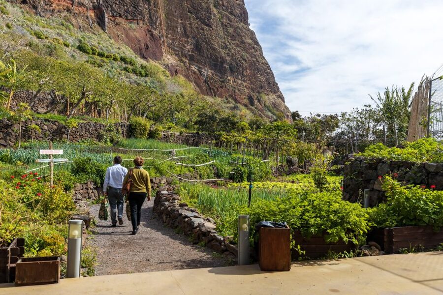 Madeira: Faja dos Padres Private Sightseeing Tour - What to wear and bring for rain or shine