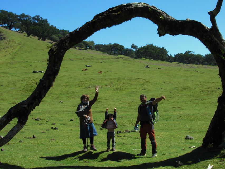 Madeira: Fanal Forest Guided Hiking Tour - From Hotel Pickup to Fanal, A Scenic Jeep Ride in Madeira Time