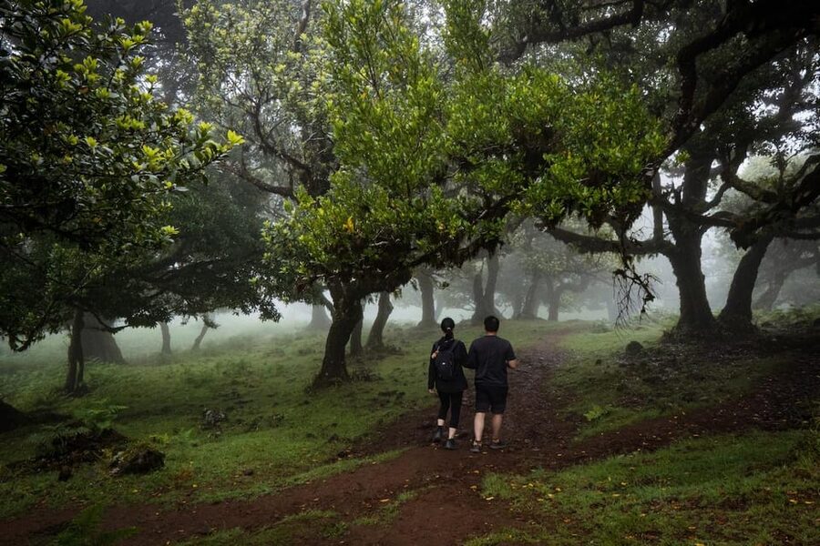 Madeira : Full Day Adult-only west 4x4 Tour - Ponta do Sol, Bananas, and the First Climb Up the Old Roads