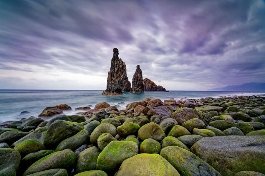 Madeira: Full-Day Jeep Tour, Natural Pools, Seixal & Fanal - Porto Moniz Natural Swimming Pools: The Most Rewarding Break