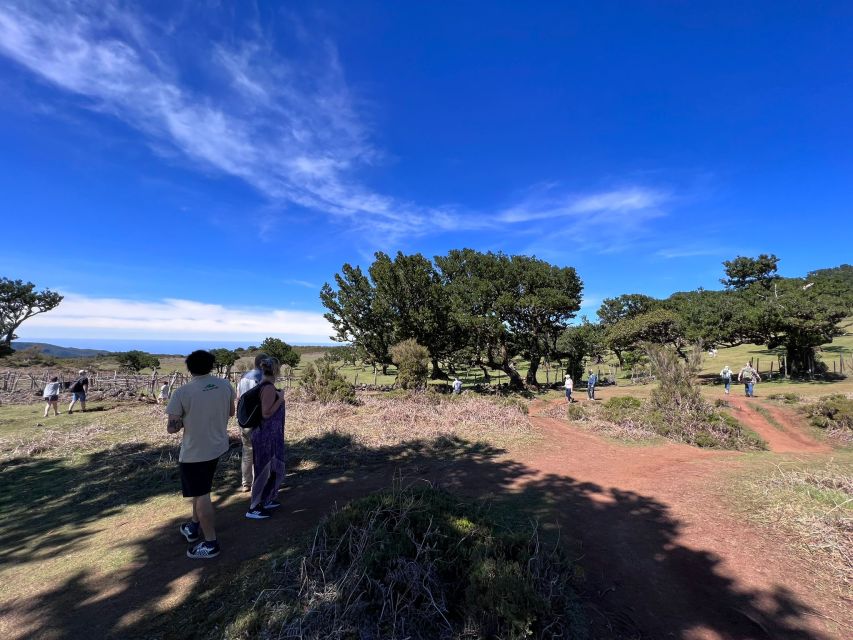 Madeira: Full-Day Jeep Tour with Guide and Pickup - Who should book this jeep tour, and who should skip it