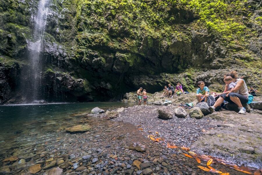 Madeira: Full-Day Laurel Forest Guided Walking Tour - From Santana to the thatched-house landmark and Serra de São Jorge feel