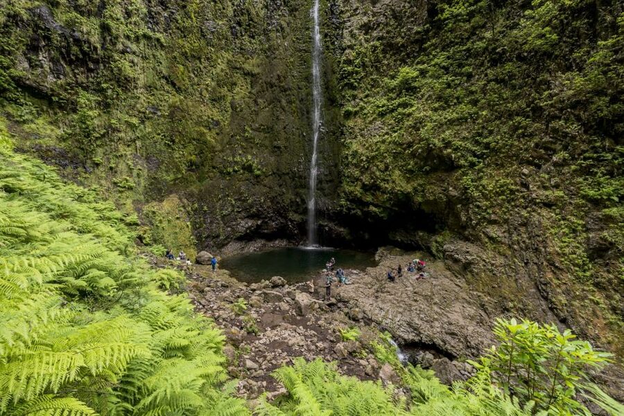 Madeira: Full-Day Laurel Forest Guided Walking Tour - Caldeirão Verde waterfall stop: break time with a short walk