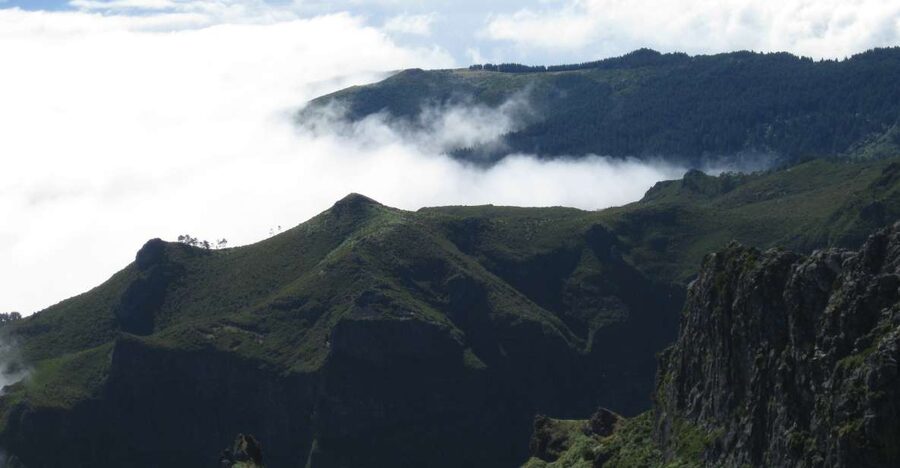 Madeira: Full-Day Pico Ruivo / Achada do Teixeira Walk - Why Pico Ruivo Is the Madeira High Point You Feel in Your Legs